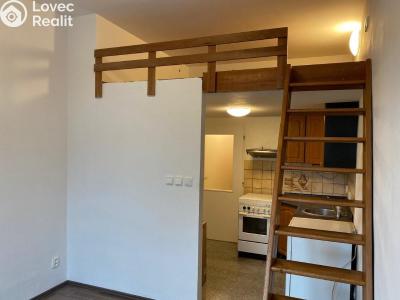 Rent apartment 1+KK Praha, Freyova č. 2