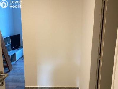 Rent apartment 1+KK Praha, Freyova č. 4