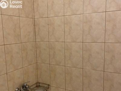 Rent apartment 1+KK Praha, Freyova č. 5