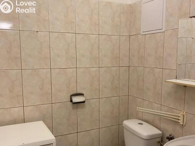 Rent apartment 1+KK Praha, Freyova č. 6