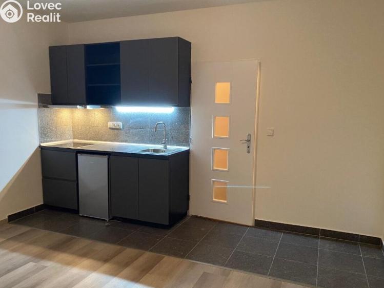 Rent apartment 1+KK Praha, Freyova 291/8 č. 8