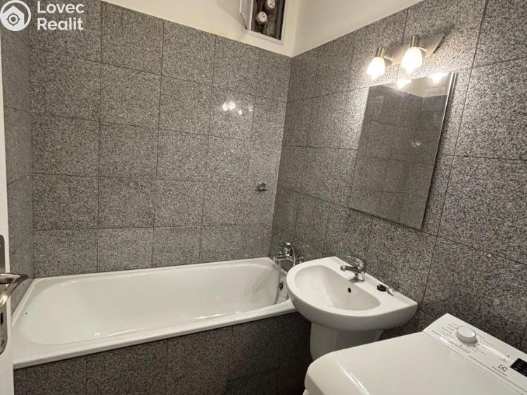 Rent apartment 1+KK Praha, Freyova 291/8 č. 4