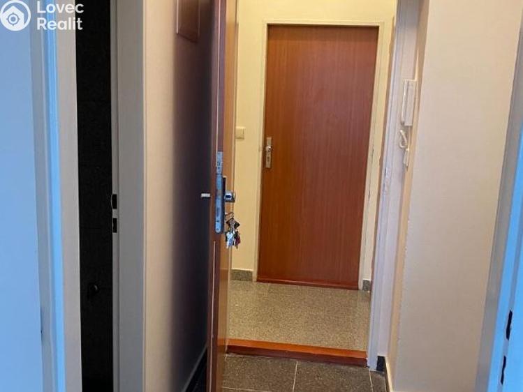 Rent apartment 1+KK Praha, Freyova 291/8 č. 6