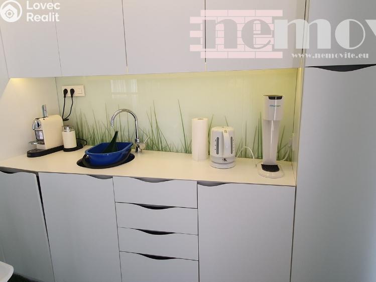 Rent office space Jesenice, Nákupní 1127 č. 4