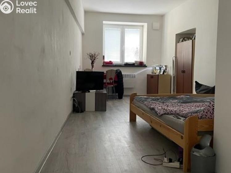 Pronájem bytu 1+KK Litultovice č. 4