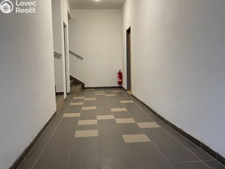 Pronájem bytu 1+KK Litultovice č. 6