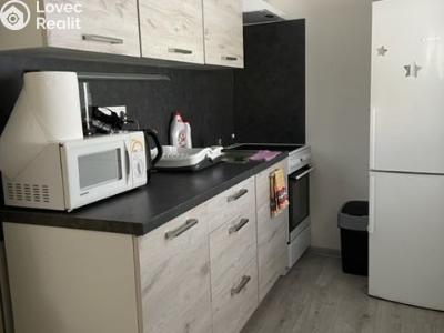 Pronájem bytu 1+KK Litultovice č. 2