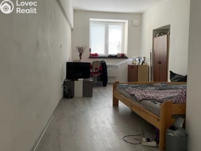 Pronájem bytu 1+KK Litultovice č. 4