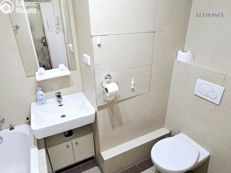 Pronájem bytu 2+KK Kralupy nad Vltavou, Krakovská 742 č. 10