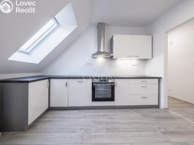 Sale apartment 4+KK Sedlčany, Nademlýnská č. 2