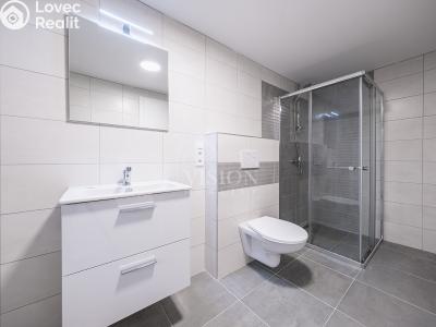 Sale apartment 3+KK Sedlčany, Nademlýnská č. 10
