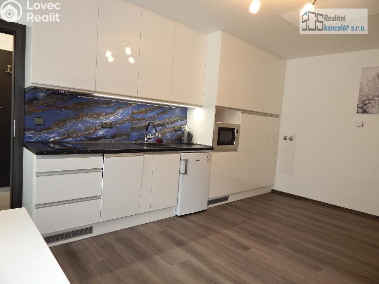 Аренда квартиры 1+KK Brno, Kučerova č. 3