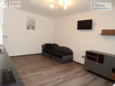Аренда квартиры 1+KK Brno, Kučerova č. 5