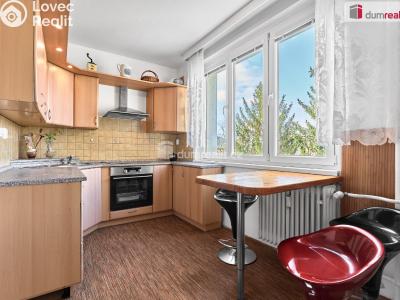 Prodej bytu 2+1 Karlovy Vary, Modenská č. 1