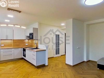Pronájem bytu 3+KK Beroun č. 1