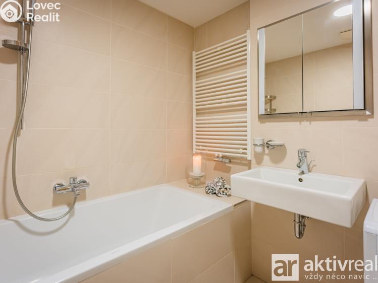 Pronájem bytu 1+KK Praha, Pitterova 2855/13 č. 15