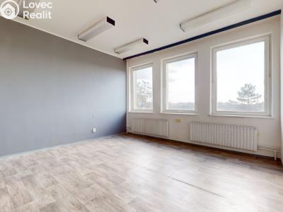 Pronájem kanceláře Velké Bílovice, Podivínská 1236 č. 1
