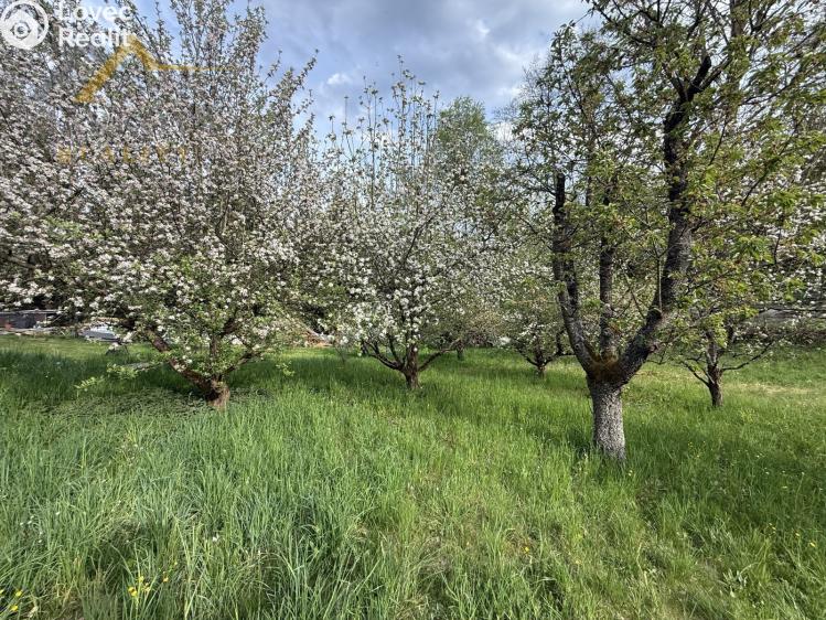 Prodej chaty Albrechtice nad Vltavou č. 12