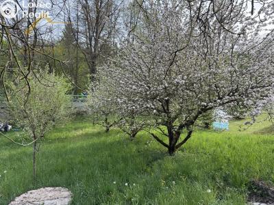 Продажа хижины Albrechtice nad Vltavou č. 15