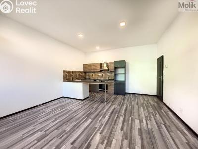 Оренда квартири 3+KK Lom, Osecká 472 č. 14