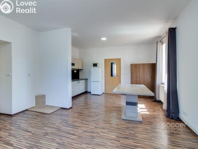 Оренда сімейного будинку Brandýs nad Labem-Stará Boleslav, Na dolíku č. 3