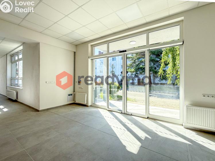 Rent commercial space Hodonín, Křičkova č. 5