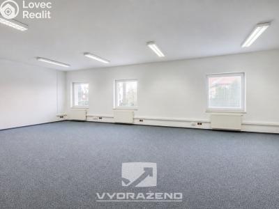 Продажа офисного помещения Mladá Boleslav, Ptácká č. 7