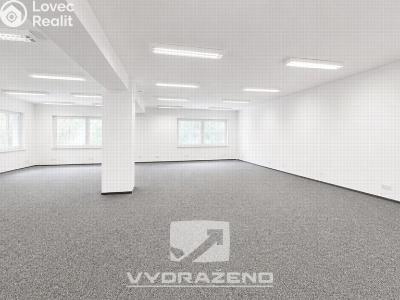 Продажа офисного помещения Mladá Boleslav, Ptácká č. 12