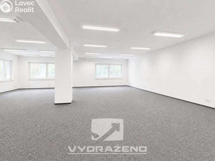 Prodej obchodního prostoru Mladá Boleslav, Ptácká 131/31 č. 12