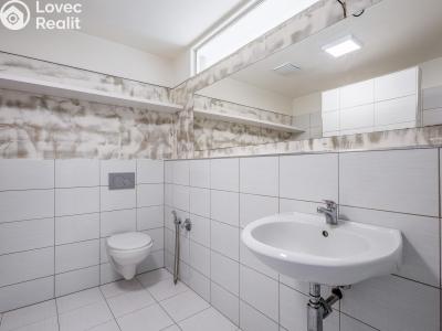Аренда квартиры 1+KK Chlumec nad Cidlinou, Rooseveltova č. 8