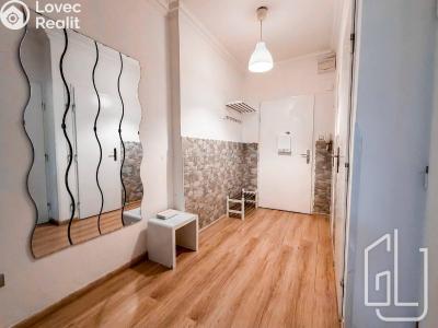 Продаж квартири 1+1 Praha č. 12