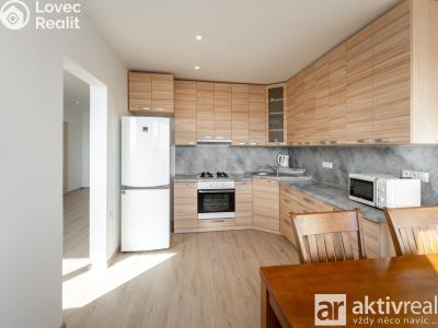 Sale apartment 3+1 Ústí nad Labem, Brandtova č. 6