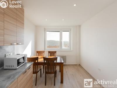 Sale apartment 3+1 Ústí nad Labem, Brandtova č. 7