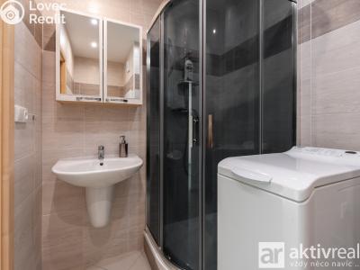 Sale apartment 3+1 Ústí nad Labem, Brandtova č. 11