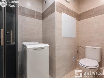 Sale apartment 3+1 Ústí nad Labem, Brandtova č. 12