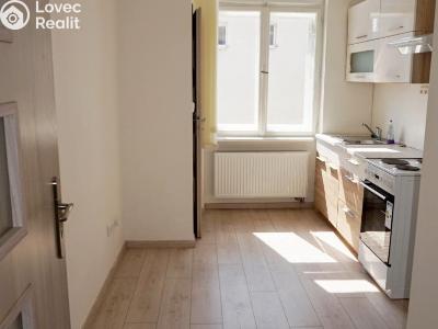 Оренда квартири 1+1 Prostějov, Křížkovského č. 4