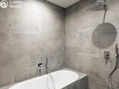Rent apartment 4+KK Praha, Laubova č. 11