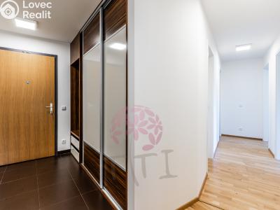 Rent apartment 3+KK Praha, Ve studeném č. 9