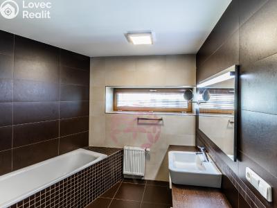 Rent apartment 3+KK Praha, Ve studeném č. 12