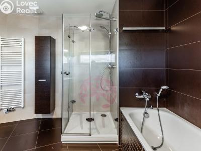 Rent apartment 3+KK Praha, Ve studeném č. 14
