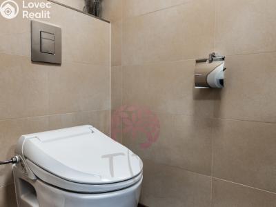 Rent apartment 3+KK Praha, Ve studeném č. 15