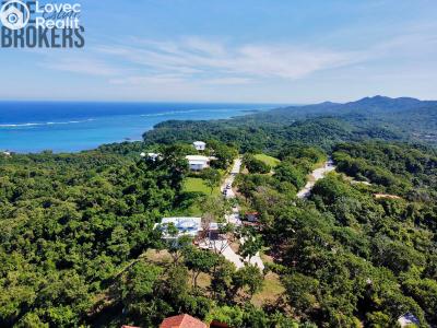 Prodej vily Coxen Hole,Honduras č. 11
