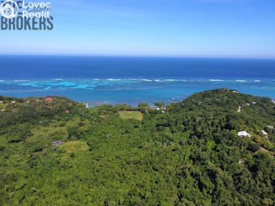 Prodej vily Coxen Hole,Honduras č. 14