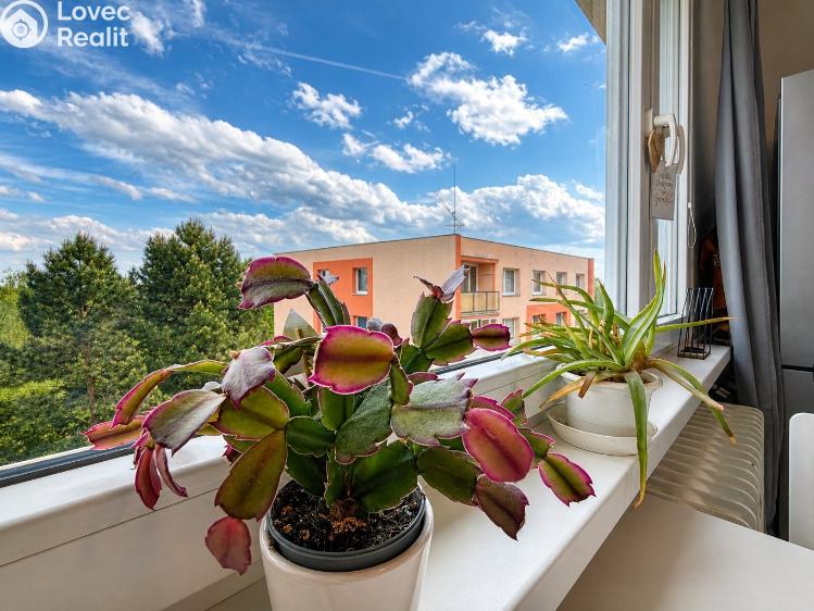 Sale apartment 3+1 Chomutov, Kundratická 4495 č. 1