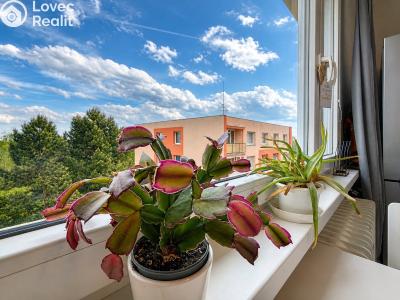 Продажа квартиры 3+1 Chomutov, Kundratická 4495 č. 1