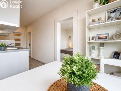 Продажа квартиры 3+1 Chomutov, Kundratická 4495 č. 2