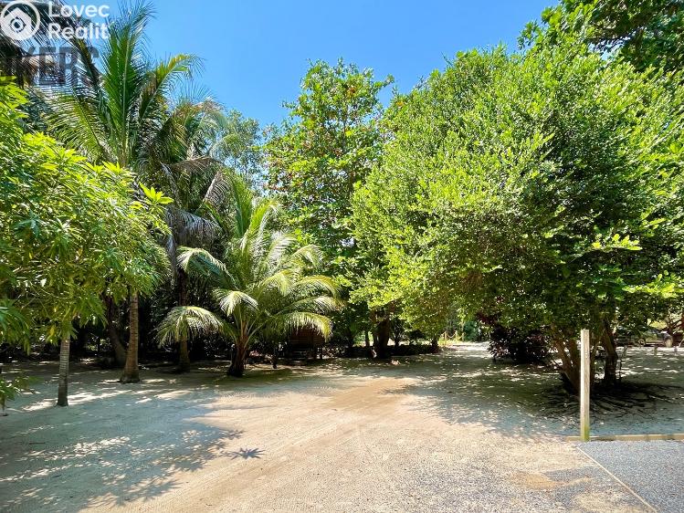Prodej vily Coxen Hole,Honduras č. 2