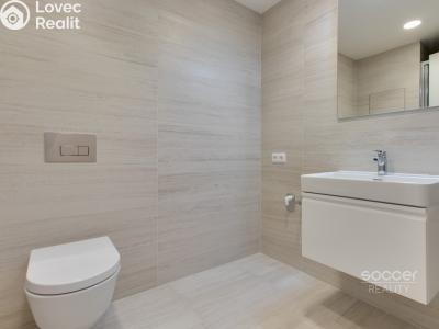 Rent apartment 2+KK Praha, Poděbradská č. 13