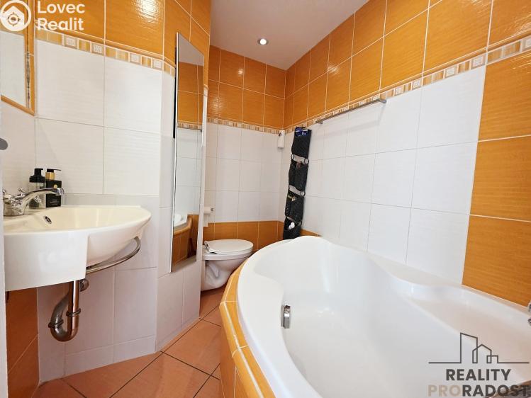 Аренда квартиры 1+1 Brno, Dubová č. 7