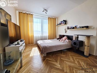 Аренда квартиры 1+1 Brno, Dubová č. 4